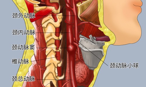 一岁宝贝晚上睡不安稳专区_一岁宝宝晚上兴奋不睡觉什么原因专区_1岁宝宝晚上不睡觉兴奋网